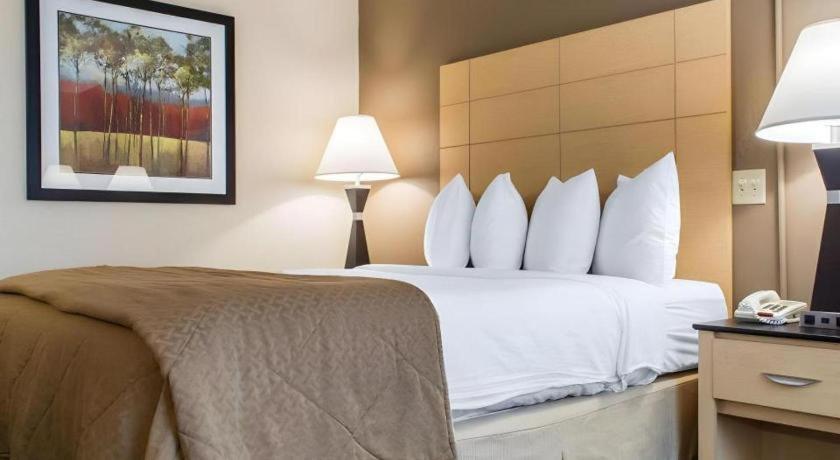 Quality Hotel