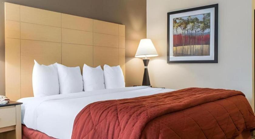 Quality Hotel